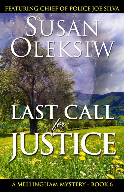 Cover of the book Last Call for Justice by Susan Oleksiw, Susan Oleksiw