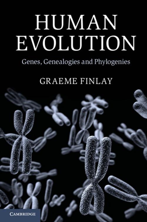 Cover of the book Human Evolution by Graeme Finlay, Cambridge University Press