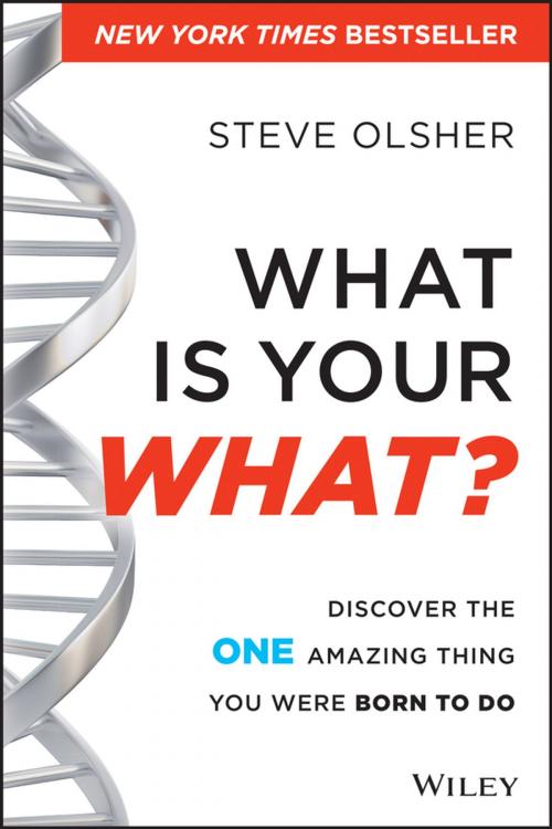 Cover of the book What Is Your WHAT? by Steve Olsher, Wiley