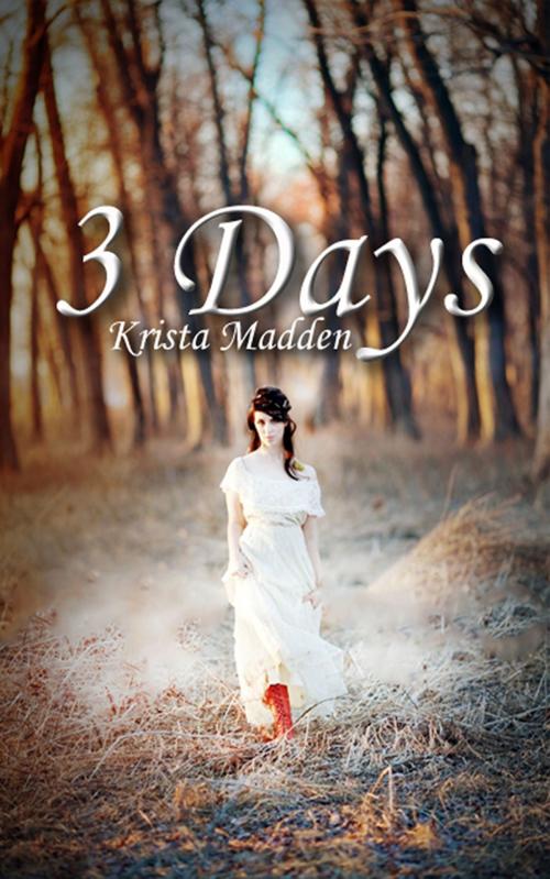 Cover of the book 3 Days by Krista Madden, Krista Madden