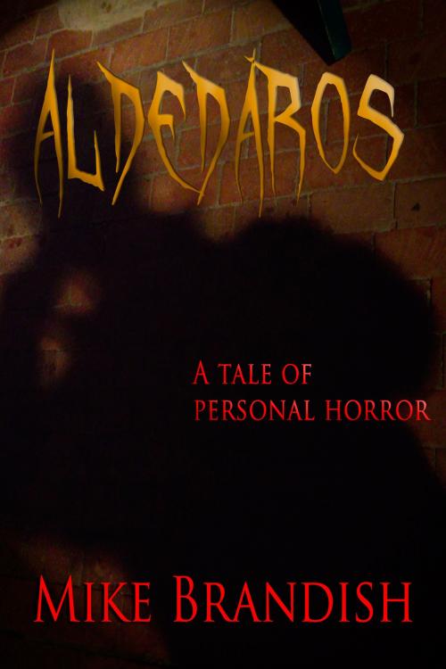Cover of the book Aldedaros by Mike Brandish, Mike Brandish