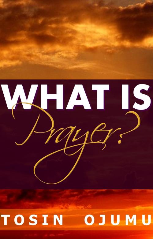 Cover of the book What is Prayer? by Tosin Ojumu, Oruko Oluwa