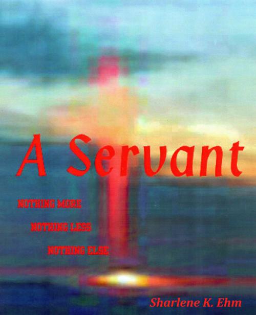 Cover of the book A Servant by Sharlene Ehm, Scott Ehm