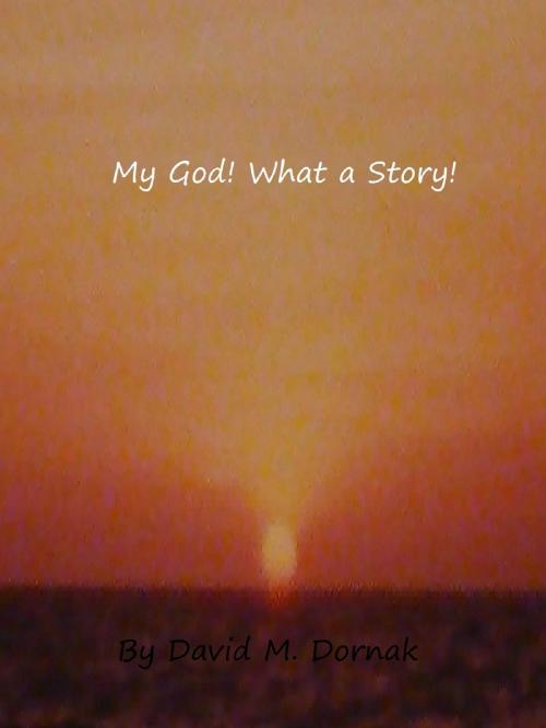 Cover of the book My God! What a Story! by David Dornak, David Dornak