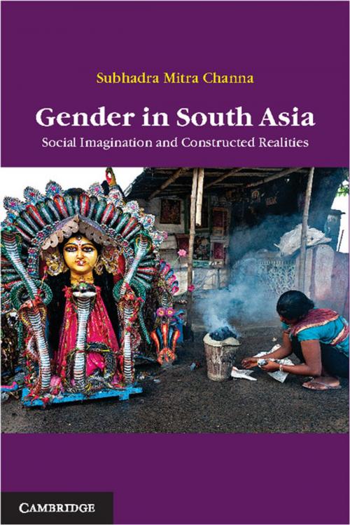 Cover of the book Gender in South Asia by Subhadra Mitra Channa, Cambridge University Press
