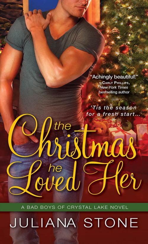 Cover of the book The Christmas He Loved Her by Juliana Stone, Sourcebooks