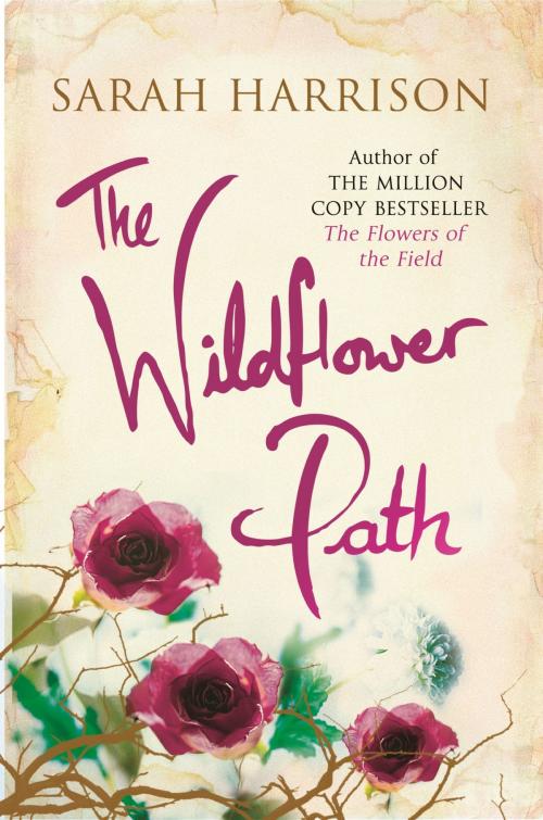 Cover of the book The Wildflower Path by Sarah Harrison, Orion Publishing Group