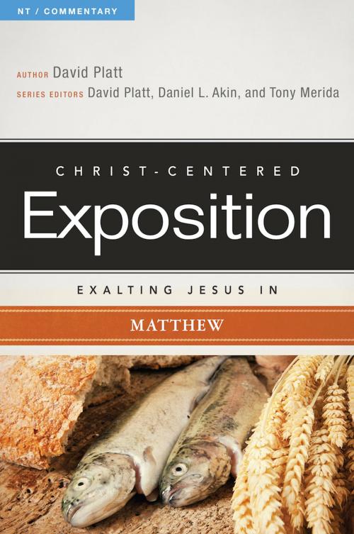 Cover of the book Exalting Jesus in Matthew by David Platt, B&H Publishing Group