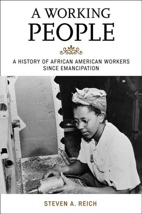 Cover of the book A Working People by Steven A. Reich, Rowman & Littlefield Publishers