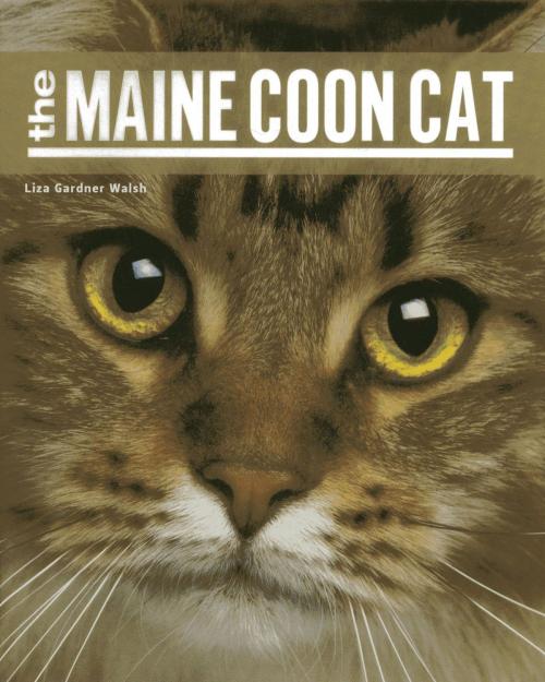 Cover of the book The Maine Coon Cat by Liza Gardner Walsh, Down East Books