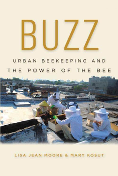 Cover of the book Buzz by Lisa Jean Moore, Mary Kosut, NYU Press