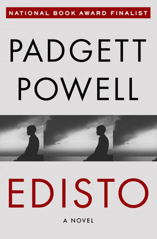 Cover of the book Edisto by Padgett Powell, Open Road Media