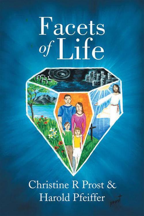 Cover of the book Facets of Life by Harold Pfeiffer, Christine R Prost, Xlibris US