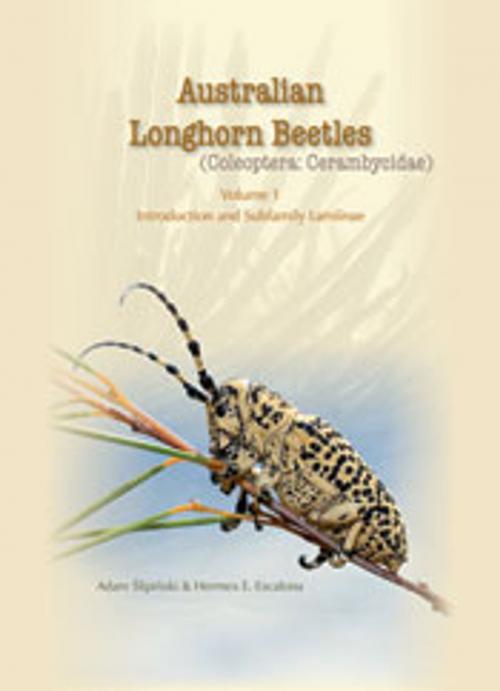 Cover of the book Australian Longhorn Beetles (Coleoptera: Cerambycidae) Volume 1 by Adam Slipinski, Hermes Escalona, CSIRO PUBLISHING