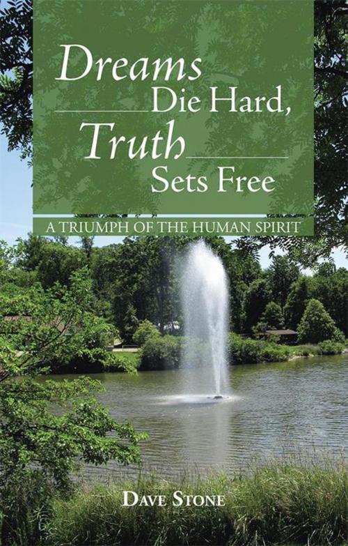 Cover of the book Dreams Die Hard, Truth Sets Free by Dave Stone, WestBow Press