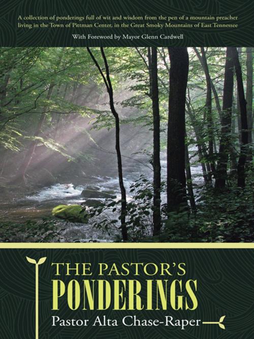 Cover of the book The Pastor's Ponderings by Pastor Alta Chase-Raper, WestBow Press