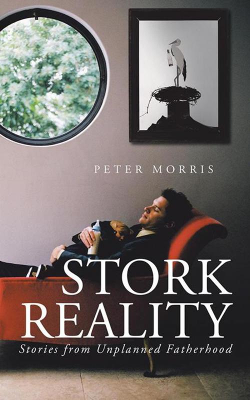 Cover of the book Stork Reality by Peter Morris, iUniverse