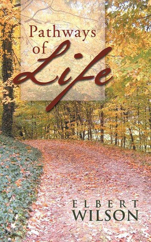 Cover of the book Pathways of Life by Elbert Wilson, AuthorHouse