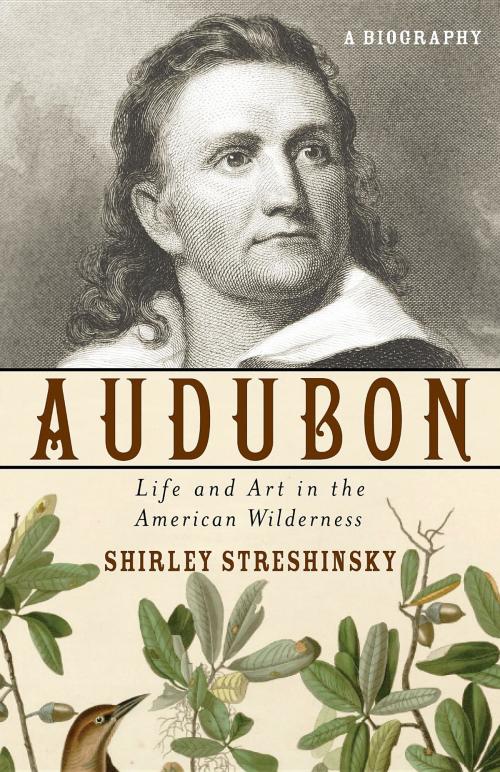 Cover of the book Audubon by Shirley Streshinsky, Turner Publishing Company