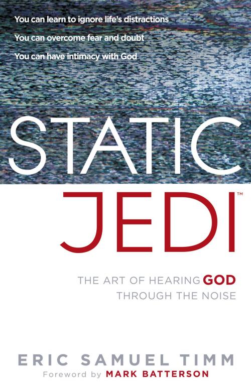 Cover of the book Static Jedi by Eric Samuel Timm, Charisma House