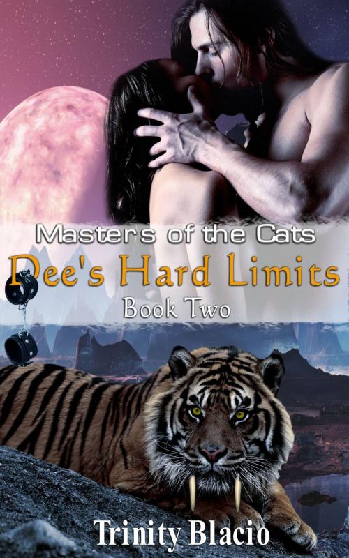 Cover of the book Dee's Hard Limits by Trinity Blacio, Riverdale Avenue Books