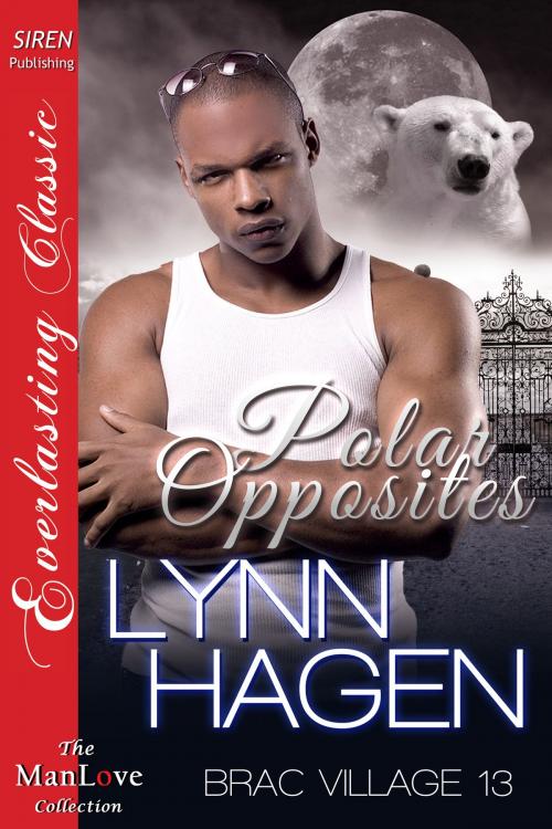 Cover of the book Polar Opposites by Lynn Hagen, Siren-BookStrand