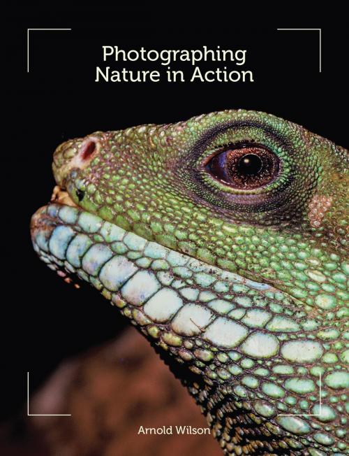 Cover of the book Photographing Nature in Action by Arnold Wilson, Crowood