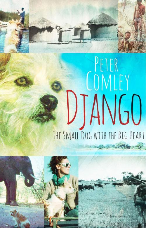 Cover of the book Django by Peter Comley, Jonathan Ball Publishers