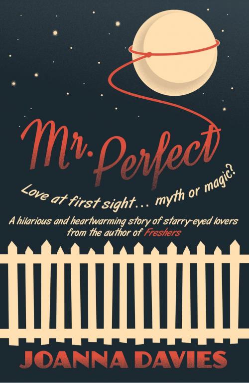 Cover of the book Mr Perfect by Joanna Davies, Honno Press