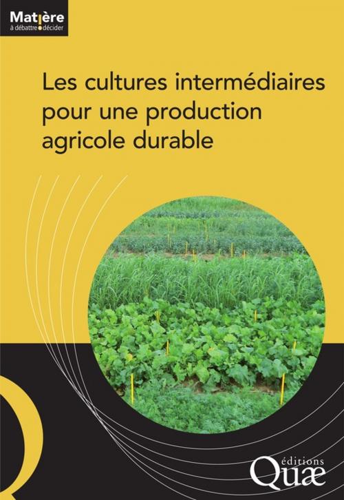 Cover of the book Les cultures intermédiaires pour une production agricole durable by Collectif Ouvrage, Quae