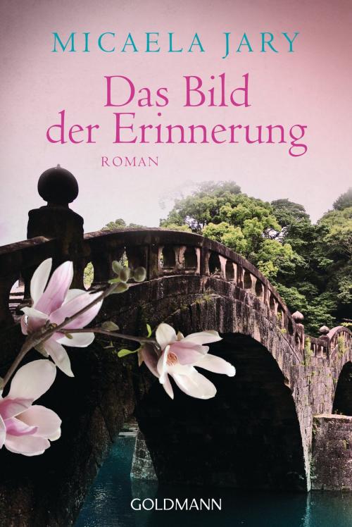 Cover of the book Das Bild der Erinnerung by Micaela Jary, Goldmann Verlag