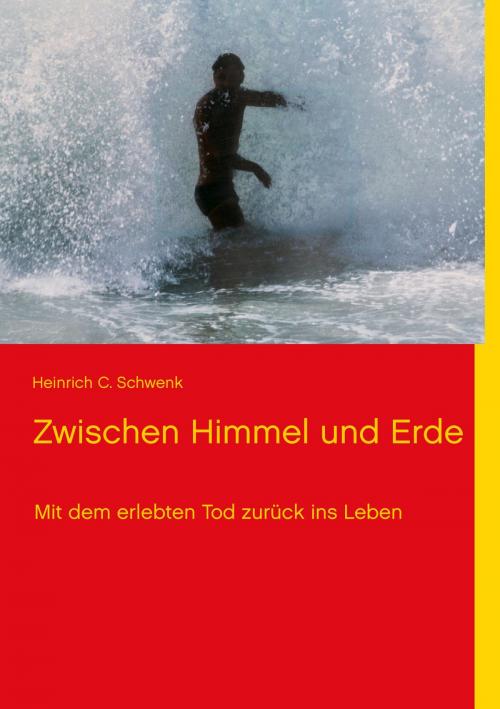 Cover of the book Zwischen Himmel und Erde by Heinrich C. Schwenk, Books on Demand