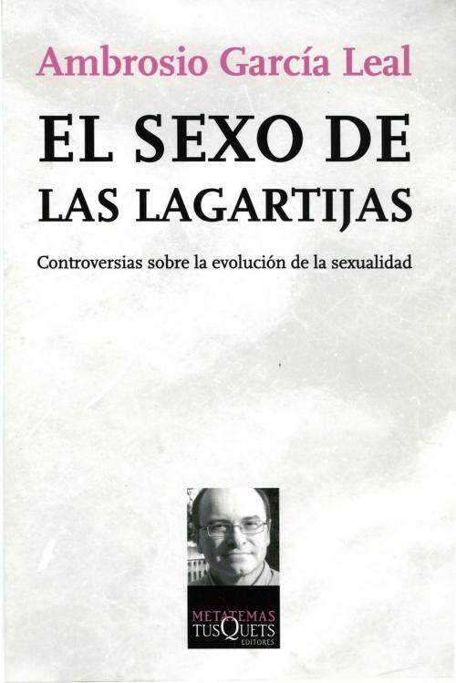 Cover of the book El sexo de las lagartijas by Ambrosio García Leal, Grupo Planeta