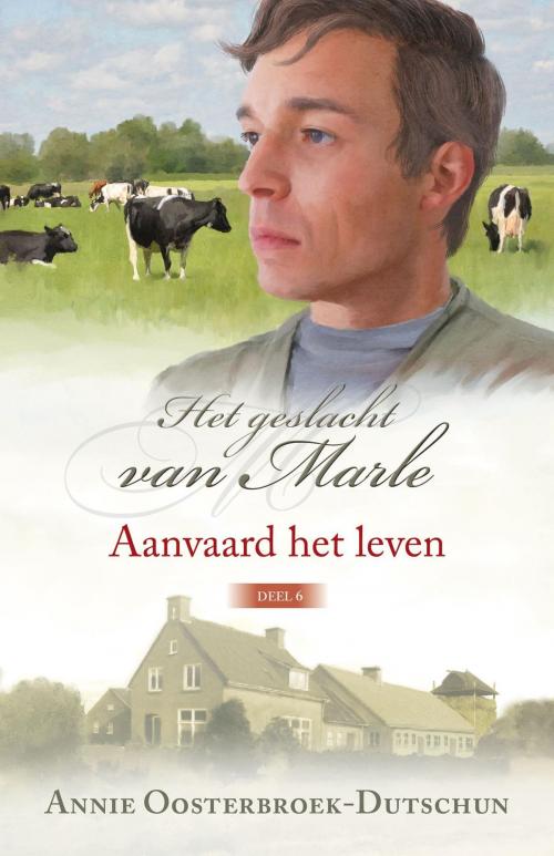 Cover of the book Aanvaard het leven by Annie Oosterbroek-Dutschun, VBK Media