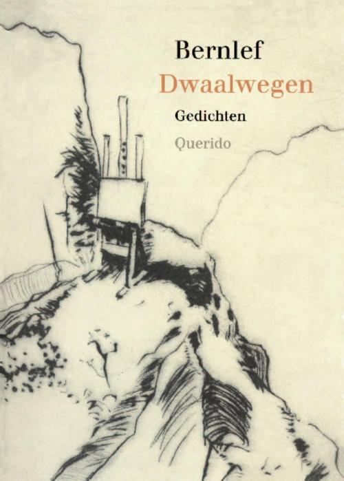 Cover of the book Dwaalwegen by J. Bernlef, Singel Uitgeverijen