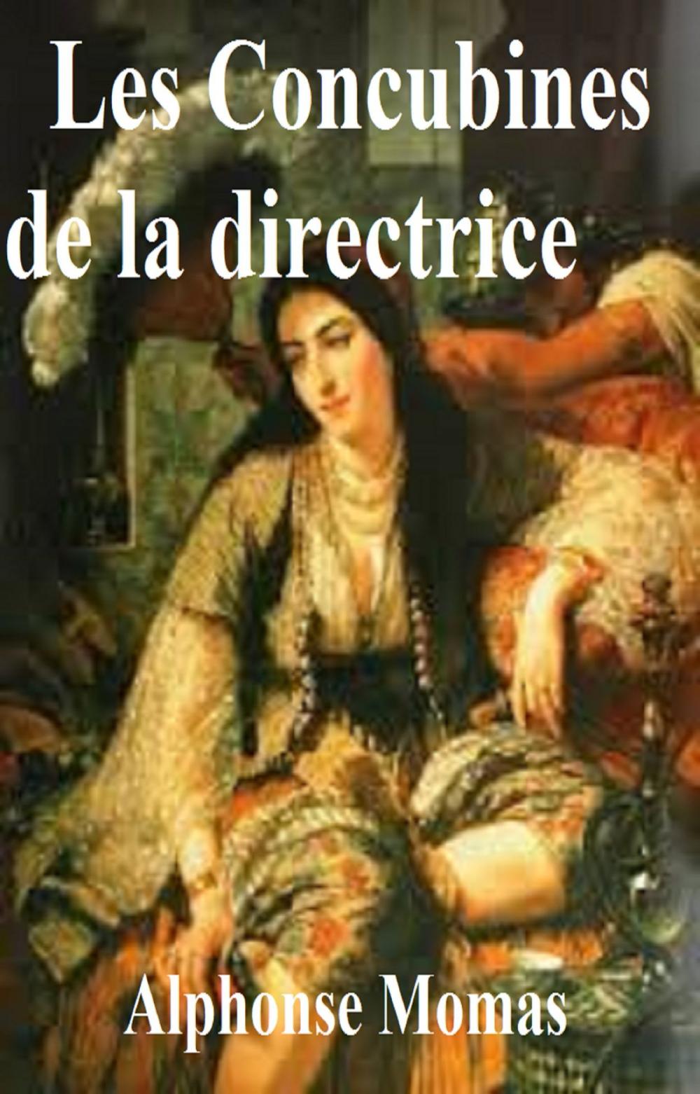 Big bigCover of Les Concubines de la directrice