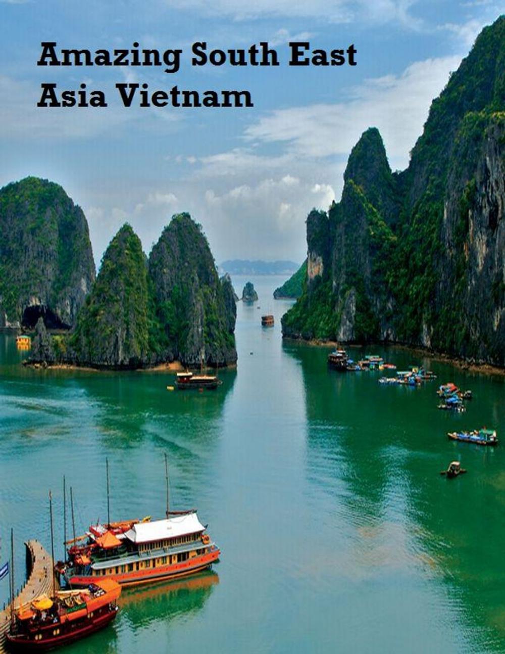 Big bigCover of Amazing South East Asia: Vietnam