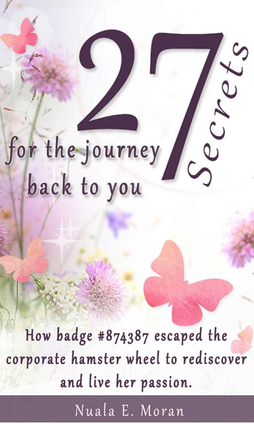 Big bigCover of 27 Secrets For The Journey Back To You