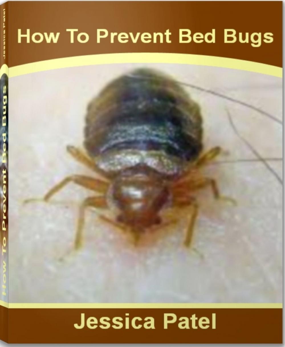 Big bigCover of How To Prevent Bed Bugs