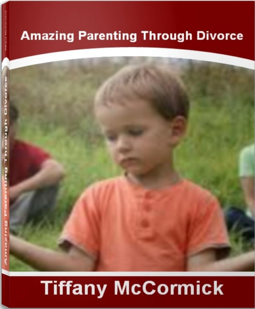 Big bigCover of Amazing Parenting Through Divorce