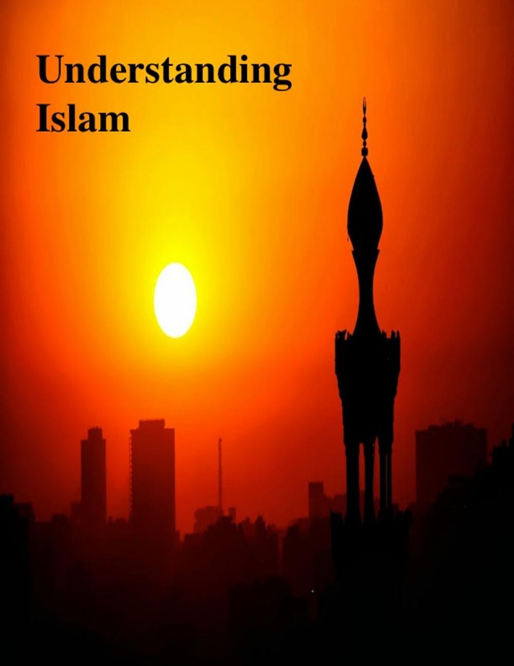 Big bigCover of Understanding Islam