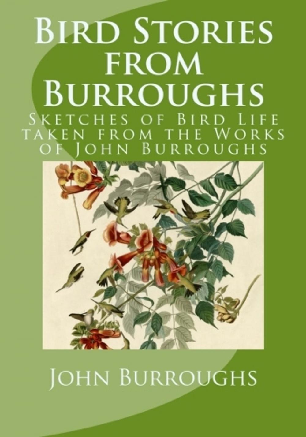 Big bigCover of Bird Stories from Burroughs (Illustrated)