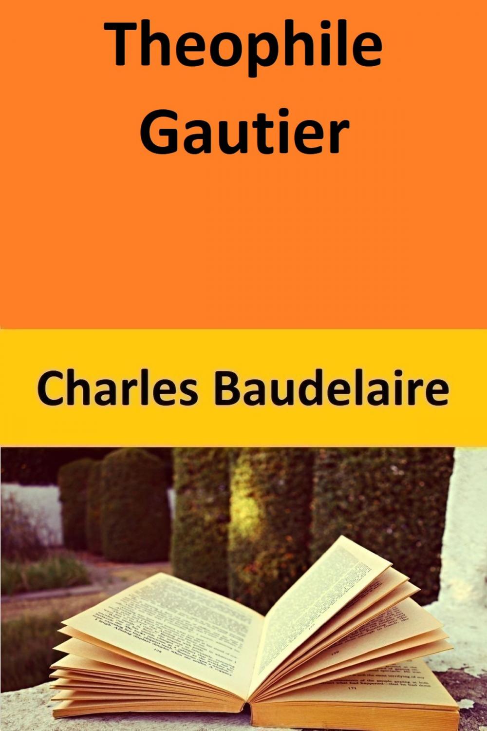 Big bigCover of Theophile Gautier