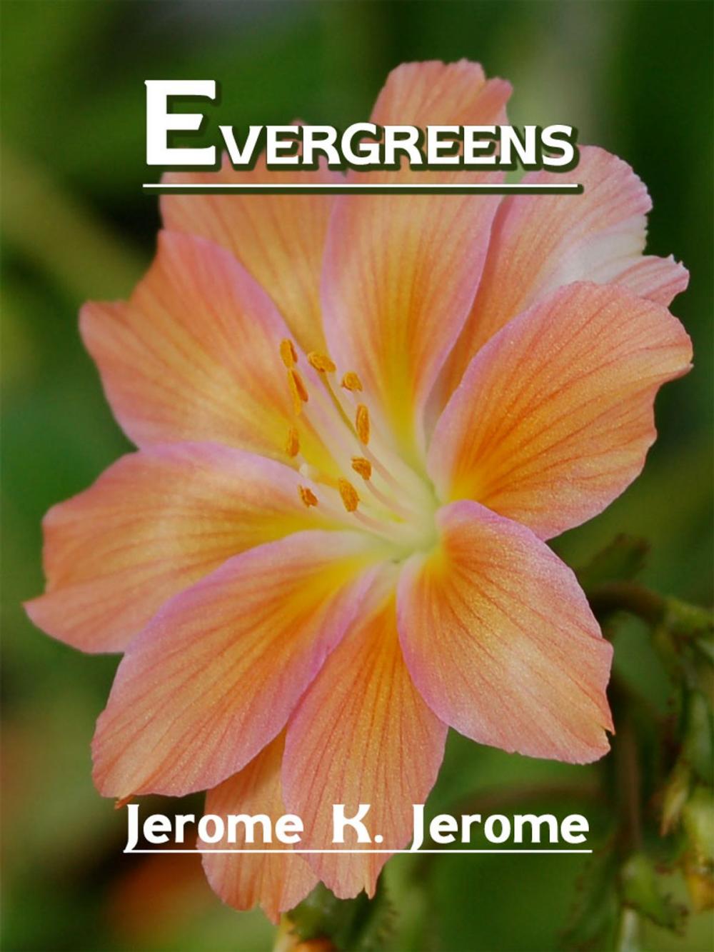 Big bigCover of Evergreens