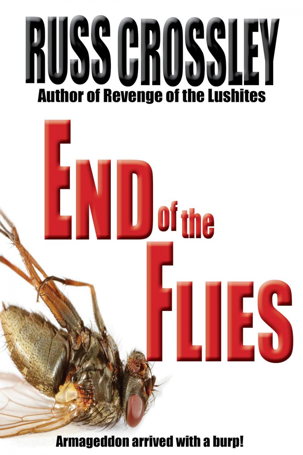 Big bigCover of End of the Flies