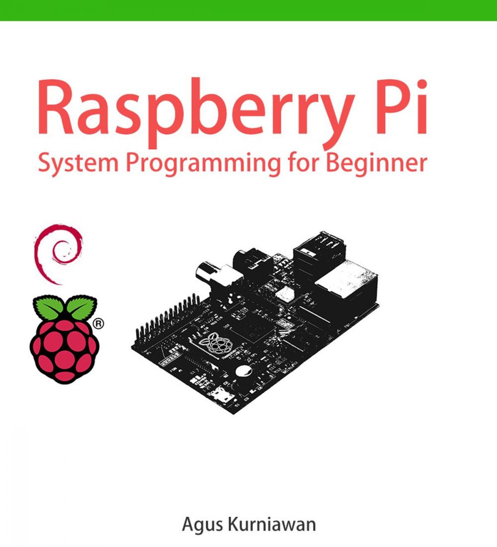 Big bigCover of Raspberry Pi System Programming for Beginner