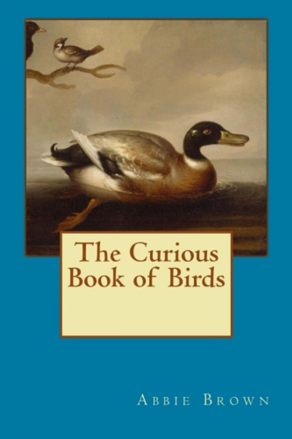 Big bigCover of Curious Book of Birds