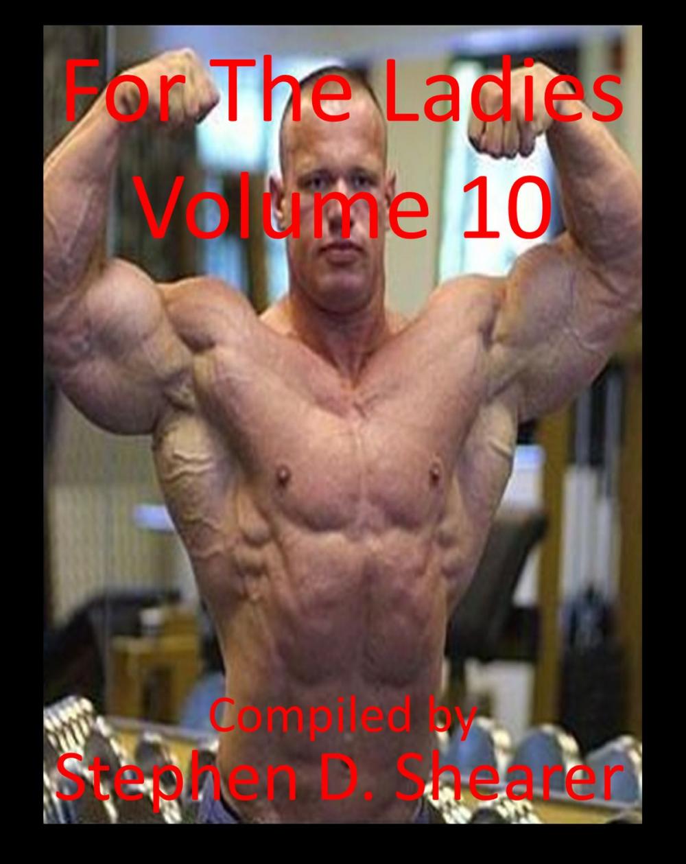 Big bigCover of For The Ladies Volume 10