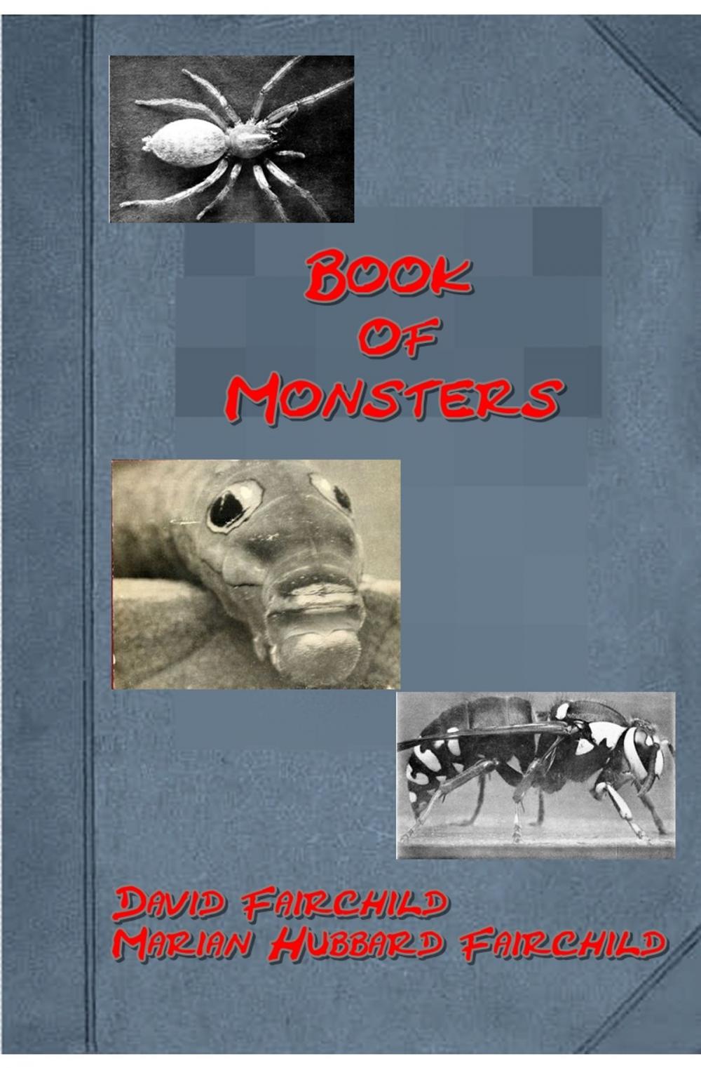 Big bigCover of Book of Monsters (Illustrated)