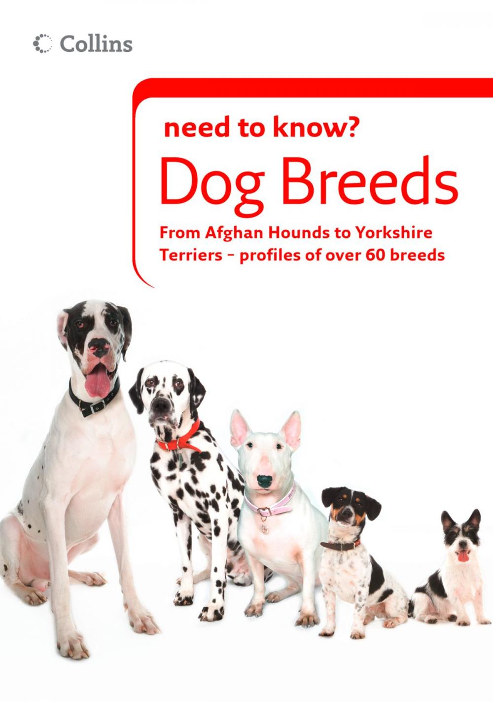 Big bigCover of Dog Breeds (Collins Need to Know?)